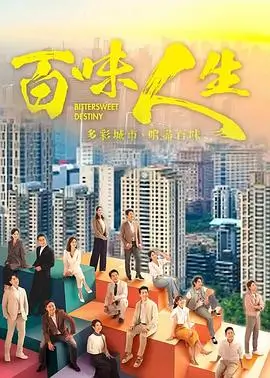 回声证人 法庭推理剧集海报